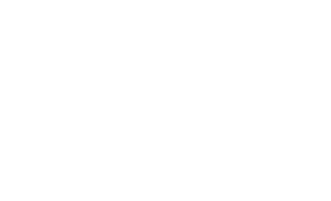 partners